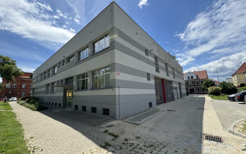 Budynek usługowy w centrum miasta
