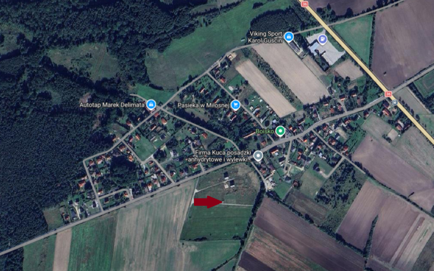 Działka w spokojnym miejscu Miłosna